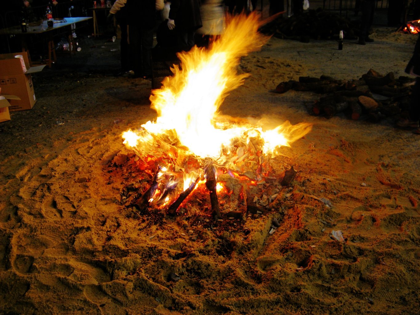 Hoguera en el Magosto de Zamora 2010