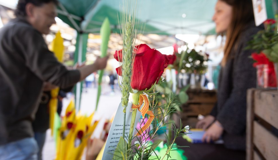 Diada de Sant Jordi (2019)