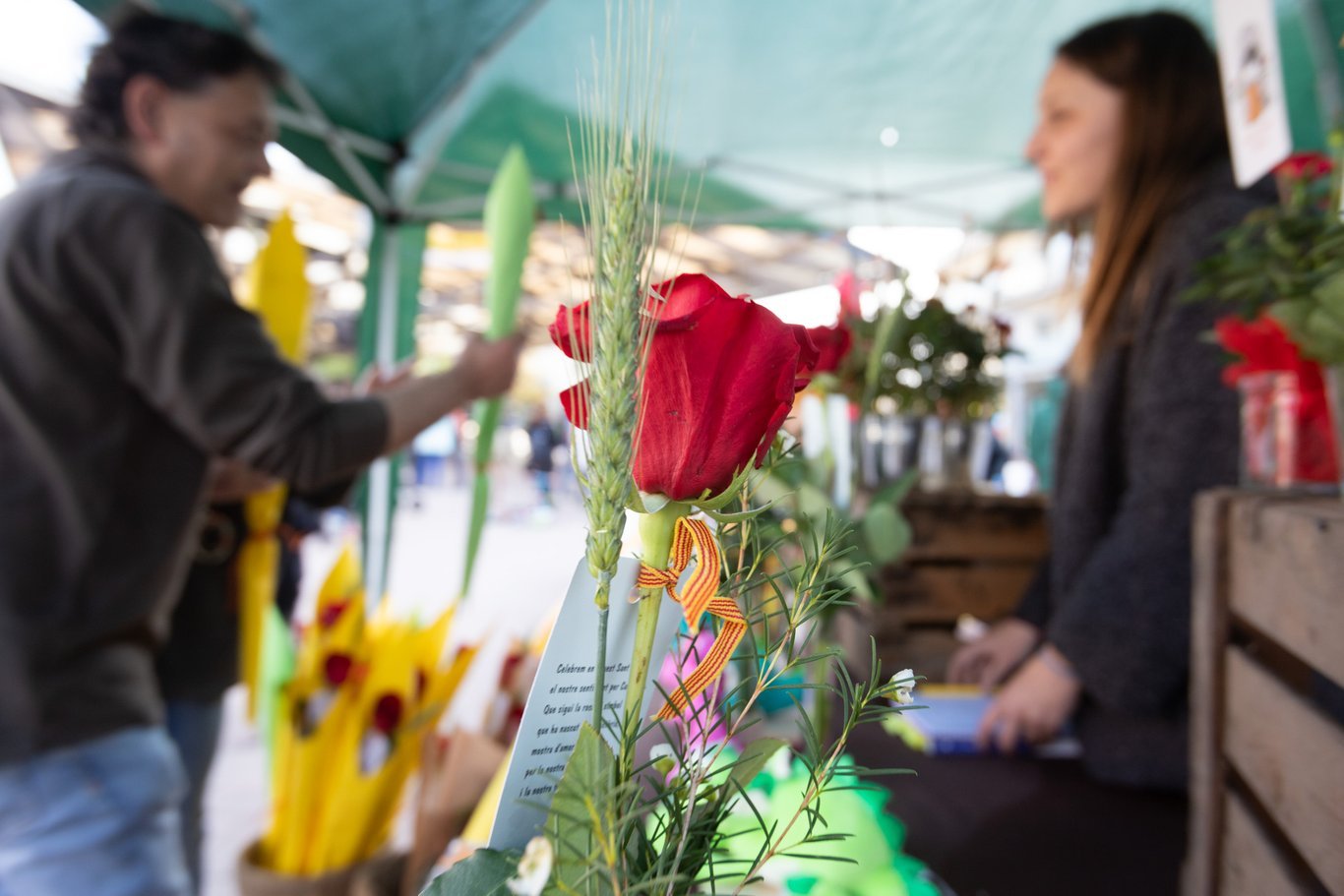 Diada de Sant Jordi (2019)