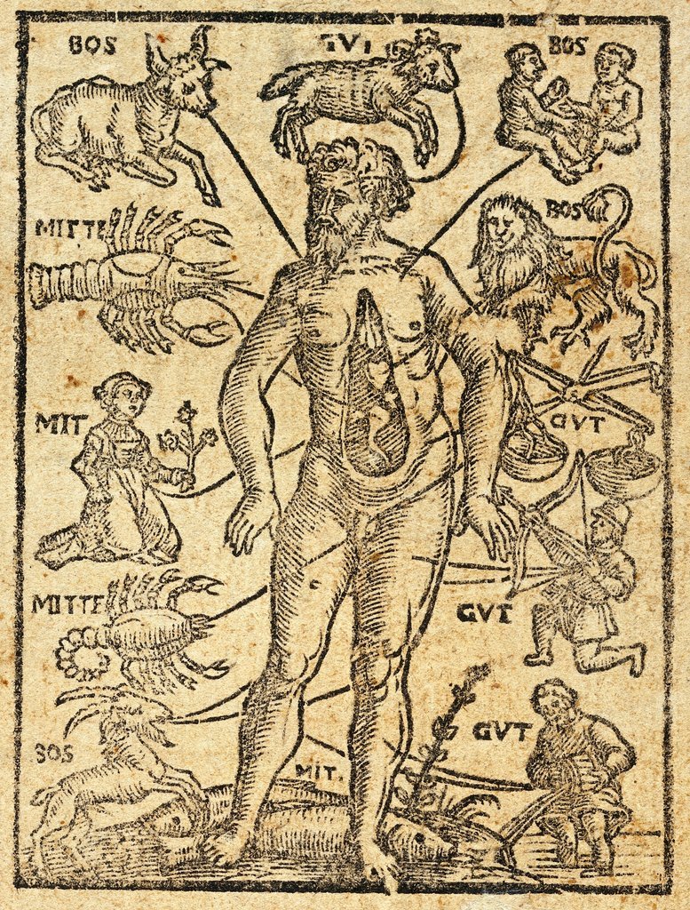 El hombre zodiacal de Petrus Slovacius (1581). Según la melotesia zodiacal, cada parte del cuerpo está asociada a un signo astrológico o a un planeta específico.