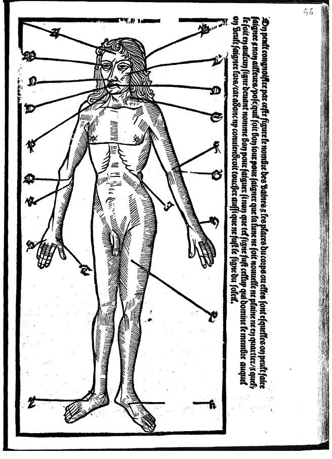Tavola anatomica en el kalendrier del 1508
